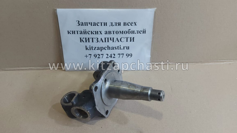 Кулак поворотный правый Baw Fenix 33462 Евро 3  YF30BQ41-Q1025